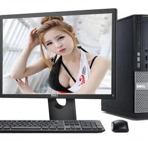 Dell Optiplex (390/790/990): Core i3-2100/8GB/250GB/20inch