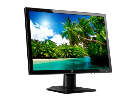 Màn hình HP 20DK, 19,5