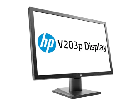 Màn hình HP V203P, 19,5