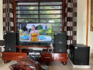 Thu Mua Loa Amply Cũ Phường Diên Hồng Giá Cao