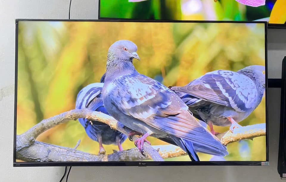 Thu Mua Tivi Cũ Xã Phú Hòa Đông