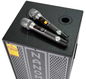 Thu Mua Loa Amply Cũ Xã Đông Thạnh